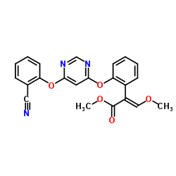 嘧菌酯 131860-33-8