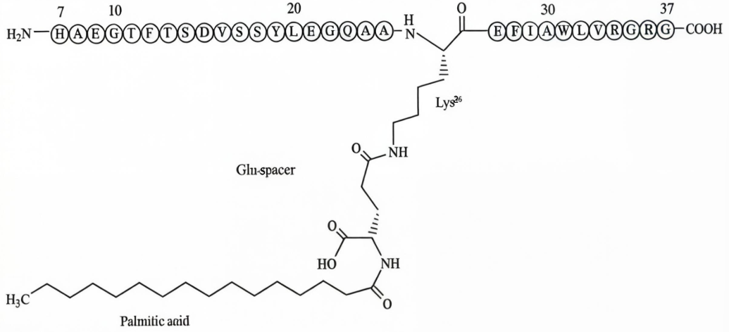 Liraglutide