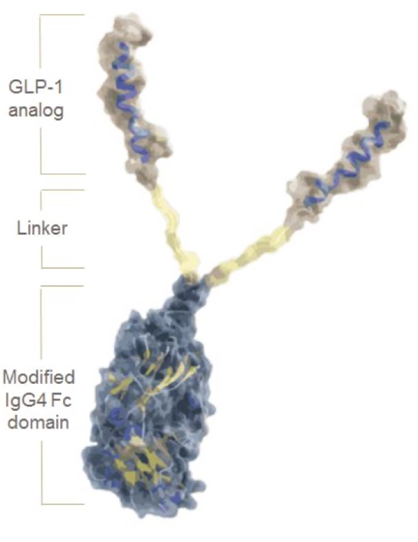 Dulaglutide