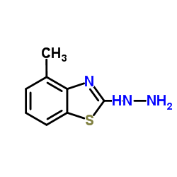  2-肼基-4-甲基苯并噻唑